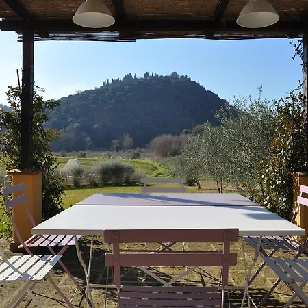 Podere L'olmaia Farm stay