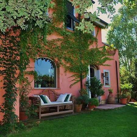 Podere L'olmaia Farm stay *