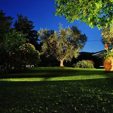 Podere L'olmaia *